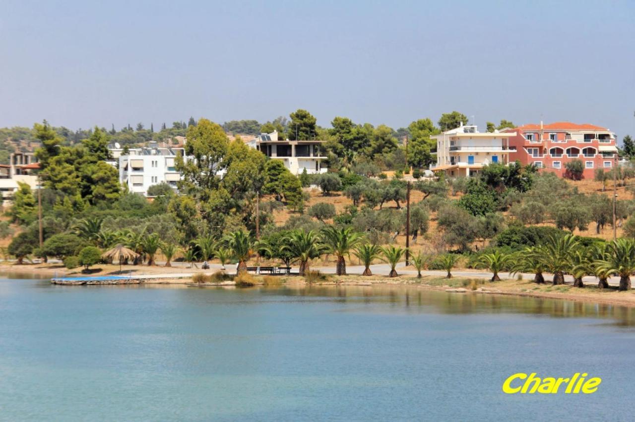 Niriides Apartments Порто-Хелі Екстер'єр фото